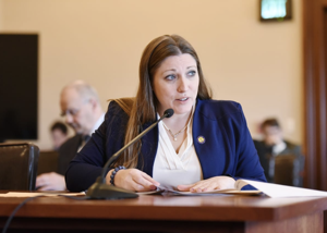 Illinois State Sen. Rachel Ventura speaks into microphone at table during a legislative hearing