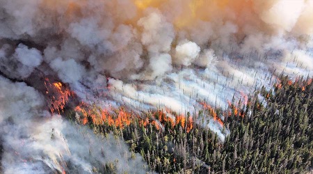 Aerial view of wildfire raging across trees in California, smoke billowing into air