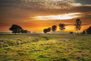 countryside.jpg